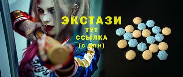 амф Вяземский