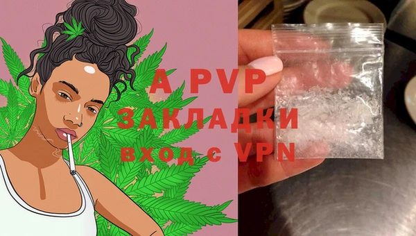 амф Вяземский