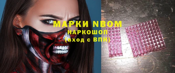 амф Вяземский