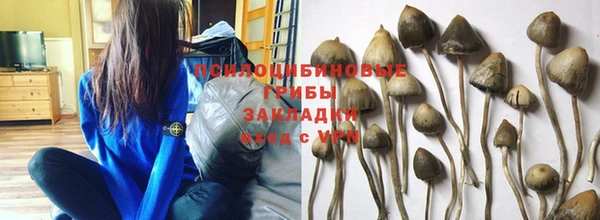 дурь Вязники